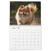 Calendrier Poméranien 2025 (Jan 2027)