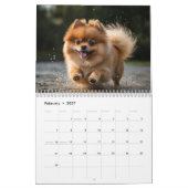 Calendrier Poméranien 2025 (Feb 2027)