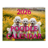 CALENDRIER POODLE 2026 (Protection)