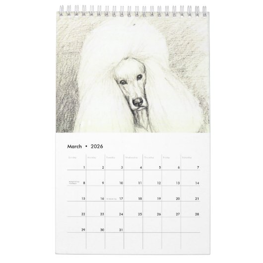 Calendrier Poodle Art par Charlotte Yealey (Mar 2026)