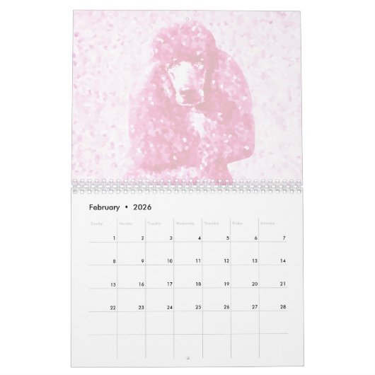 Calendrier Poodle rose (Feb 2026)