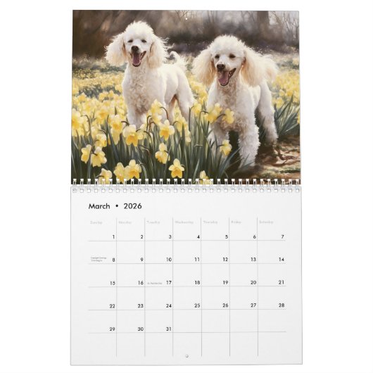 Calendrier Poodles 2026 (Mar 2026)