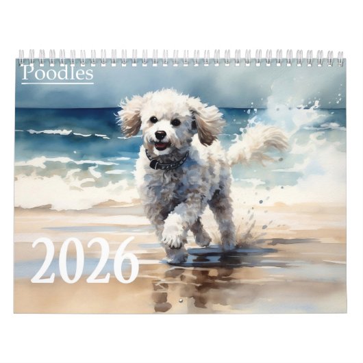 Calendrier Poodles 2026 (Protection)