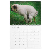Calendrier Pooping Dogs Calendar 2023, Drôle Chiens (Mar 2026)