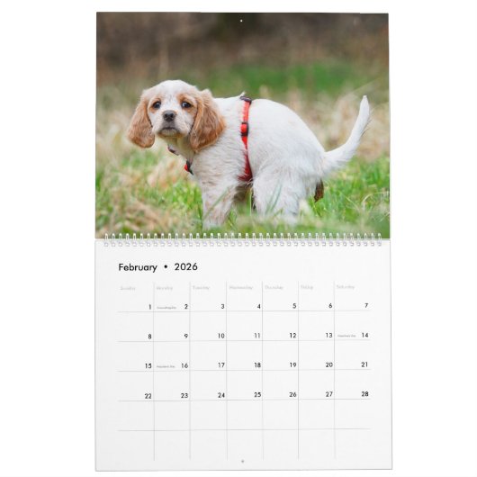 Calendrier Pooping Dogs Calendar 2023, Drôle Chiens (Feb 2026)