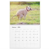 Calendrier Pooping Dogs Calendar 2023, Drôle Chiens (Feb 2026)