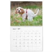 Calendrier Pooping Dogs Calendar 2023, Drôle Chiens (Mar 2027)