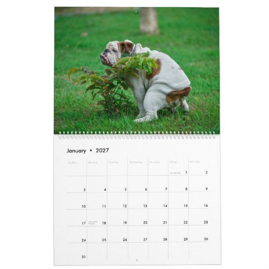 Calendrier Pooping Dogs Calendar 2023, Drôle Chiens (Jan 2027)