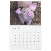 Calendrier Porcs & Piglets - 2024 (Jan 2026)