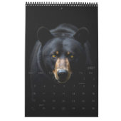 Calendrier Portrait de la faune (Jan 2027)