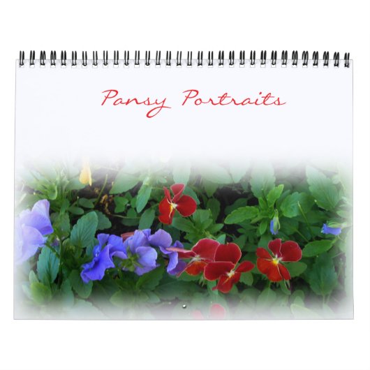 Calendrier - Portrait Pansy (Protection)