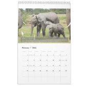 Calendrier Portraits de la vie d'un éléphant (Feb 2026)