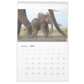 Calendrier Portraits de la vie d'un éléphant (Jan 2026)