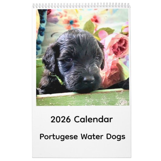 Calendrier Portuguese Water Dog Calendar 2026 (Protection)