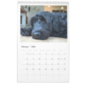 Calendrier Portuguese Water Dog Calendar 2026 (Feb 2026)