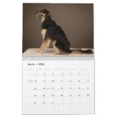 Calendrier Pose de soie de 2019 Windhounds (Mar 2026)