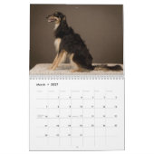 Calendrier Pose de soie de 2019 Windhounds (Mar 2027)