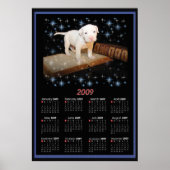 Calendrier Poster 2009 de Luna (Devant)
