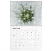 Calendrier Poufs De Dandelion : Ces Boules Extraordinaires De (Mar 2026)