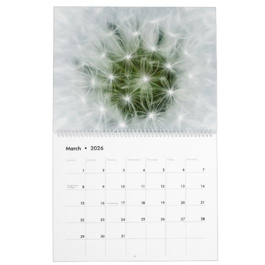 Calendrier Poufs De Dandelion : Ces Boules Extraordinaires De (Mar 2026)