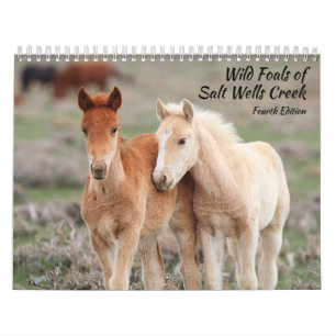 Calendrier Poulains Sauvages de Salt Wells Creek
