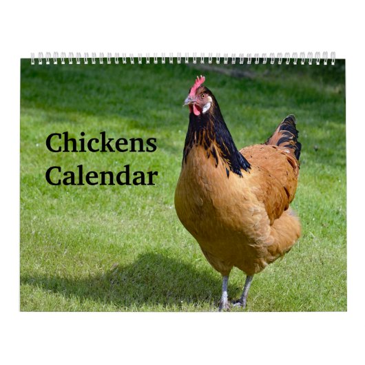Calendrier Poulets (Protection)