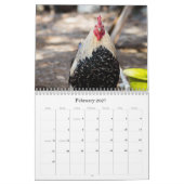 Calendrier Poulets 2014 (avec des passages de bible) (Feb 2027)