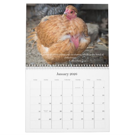 Calendrier Poulets 2014 (avec des passages de bible) (Jan 2026)