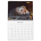 Calendrier Poulets 2014 (avec des passages de bible) (Mar 2026)