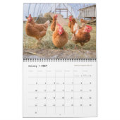 Calendrier Poulets 2019 - Ferme heureuse de récolte (Jan 2027)
