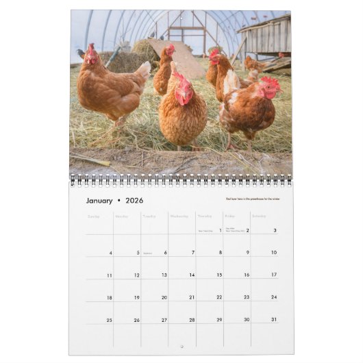 Calendrier Poulets 2019 - Ferme heureuse de récolte (Jan 2026)