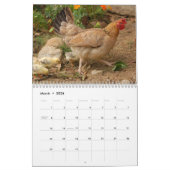 Calendrier Poulets 2025 Hen (Mar 2026)