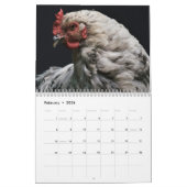 Calendrier Poulets 2025 Hen (Feb 2026)