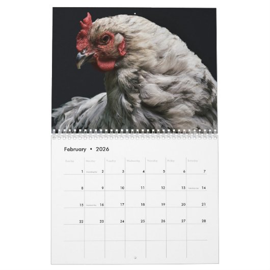 Calendrier Poulets 2025 Hen (Feb 2026)