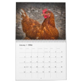 Calendrier Poulets 2025 Hen (Jan 2026)