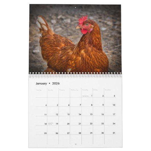 Calendrier Poulets 2025 Hen (Jan 2026)