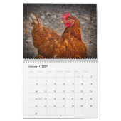 Calendrier Poulets 2025 Hen (Jan 2027)