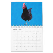 Calendrier Poulets Et Coqs, (Jan 2027)