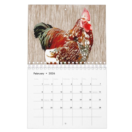 Calendrier Poulets Et Coqs, (Feb 2026)