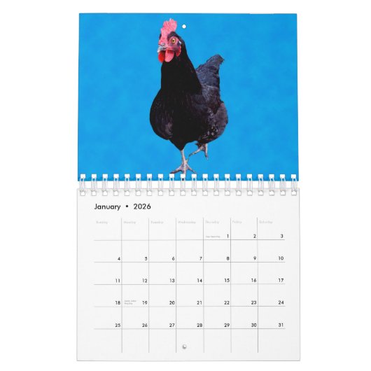 Calendrier Poulets Et Coqs, (Jan 2026)