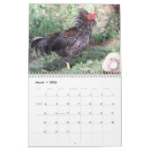 Calendrier Poulets hawaïens (Mar 2026)