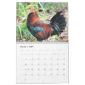 Calendrier Poulets hawaïens (Jan 2027)
