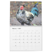 Calendrier Poulets hawaïens (Feb 2027)