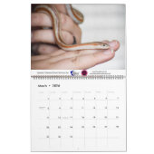 Calendrier pour animaux de compagnie de Violetvill (Mar 2026)