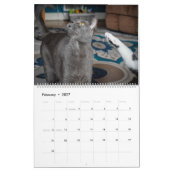 Calendrier pour animaux de compagnie de Violetvill (Feb 2027)