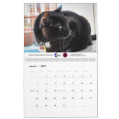 Calendrier pour animaux de compagnie de Violetvill (Mar 2027)