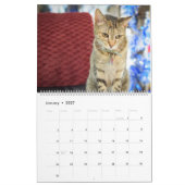 Calendrier pour animaux de compagnie de Violetvill (Jan 2027)