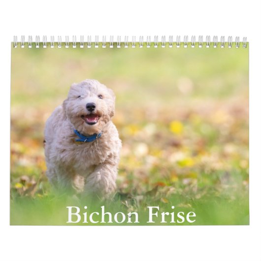 Calendrier pour chien Bichon Frise (Protection)