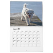 Calendrier pour chien Bichon Frise (Feb 2027)