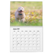 Calendrier pour chien Bichon Frise (Jan 2027)